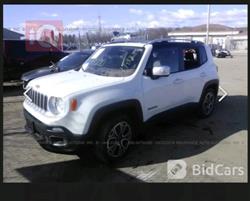 جيب رينيجيد